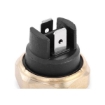 Picture of TS6272 - Temperature Sender - Peugeot 504 - Renault Extra Box Body
