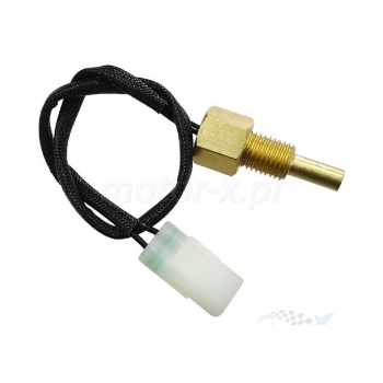 Picture of TS6192 - Temperature Sender - Land Rover, Freelander, Freelander Soft Top 