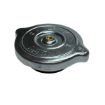 Picture of TR10 - 69kPa - Truck Type No Top Gasket