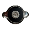 Picture of T1 - Blank Off Cap - Car Type
