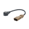 Picture of S107583022Z - Knock Sensor - Volkswagen/VAG/Skoda/Seat/Audi