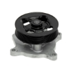 Picture of QCP789 - Water Pump - Nissan X-Trail I/Primera/Renault Koleos I