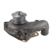 Picture of QCP3274 - Water Pump - Ford Escort VI Saloon