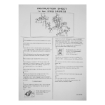 Picture of CK143HI - Carburettor - Kit Nissan Sentra 1.6Gl/Glx Gxe