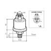 Picture of 360-081-039-003C - Pressure Sender Switch - 0 to 10 Bar - Insulated Contact 0.8 Bar - 1/8"X27 NPTF
