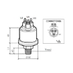 Picture of 360-081-039-002C - Pressure Sender Switch - 0 to 5 Bar - Insulated Contact 0.8 Bar - 1/8"X27 NPTF