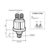 Picture of 360-081-038-003C - Pressure Sender - 0 to 25 Bar - Insulated Contact - 1/8"X27 NPTF