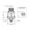 Picture of 360-081-030-037C - Pressure Sender Switch - 0 to 10 Bar - Warning Contact 0.75 Bar - M18X1.5