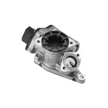 Picture of A2C59515008 - EGR Valve - Renault, Suzuki