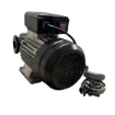 Picture of MS-YB100220V - Yb100 220 Volt AC Pump 100 Lpm