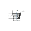 Picture of 10734 - Plug Male Paralell with O-Ring - Standard Fittings - 3/4" Male Thread To  - Brass