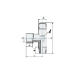 Picture of 11701 - Tee Piece Female - Standard Fittings - 1" Male Thread To 1" Male Thread with Female Tee - Brass