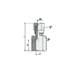 Picture of 2020418 - Adaptor Straight Female - Compression Fittings - 4mm Tube To 1/8" Female Thread - Brass