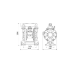 Picture of 3C1/16111TTP - Pump - Double Diaphragm 1/2" With Ptfe Seals