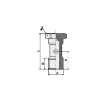 Picture of 40714V - Banjo Stem - Single - Push-In Fitting - 1/4" Male Thread   - Brass