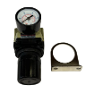 Picture of AR-3000-03 - Su - Regulator C/W Gauge 3/8"