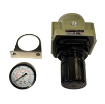Picture of AR-5000-10 - Su - Regulator C/W Gauge 1"