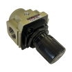 Picture of AR-5000-10 - Su - Regulator C/W Gauge 1"