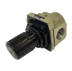 Picture of AR-5000-10 - Su - Regulator C/W Gauge 1"