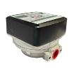 Picture of F00570020 - Meter - Mech 20-120Lmin Top To Bottom K33 Atex 1"