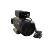 Picture of MS-YB100220V - Yb100 220 Volt AC Pump 100 Lpm