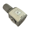Picture of N173BRMD - Airplus Regulator 1/2 Inch 0-12 Bar