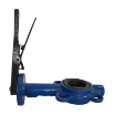 Picture of RDVP7ZB5-3-50 - Mech. Valve - Lever Butterfly