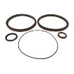 Picture of SI200-H - Iso Cylinder Seal Kit 200Ø Viton Seal Kit