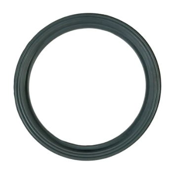 Picture of API800-1VG - Seal Product Viton Gflt Api800