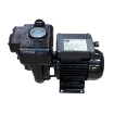 Picture of F00321000 - E300 Pump 230V Diesel Pump