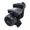 Picture of F00321000 - E300 Pump 230V Diesel Pump