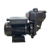 Picture of F00321000 - E300 Pump 230V Diesel Pump