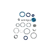 Picture of MEC-K20-0503-100 - Seal Kit For Oil Pump R=3:1 Mod.503