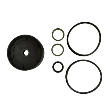 Picture of RG1319/0058 - Profile Cylinder Seal Kit 1319 (Magnetic) 1319.125 Viton Sea
